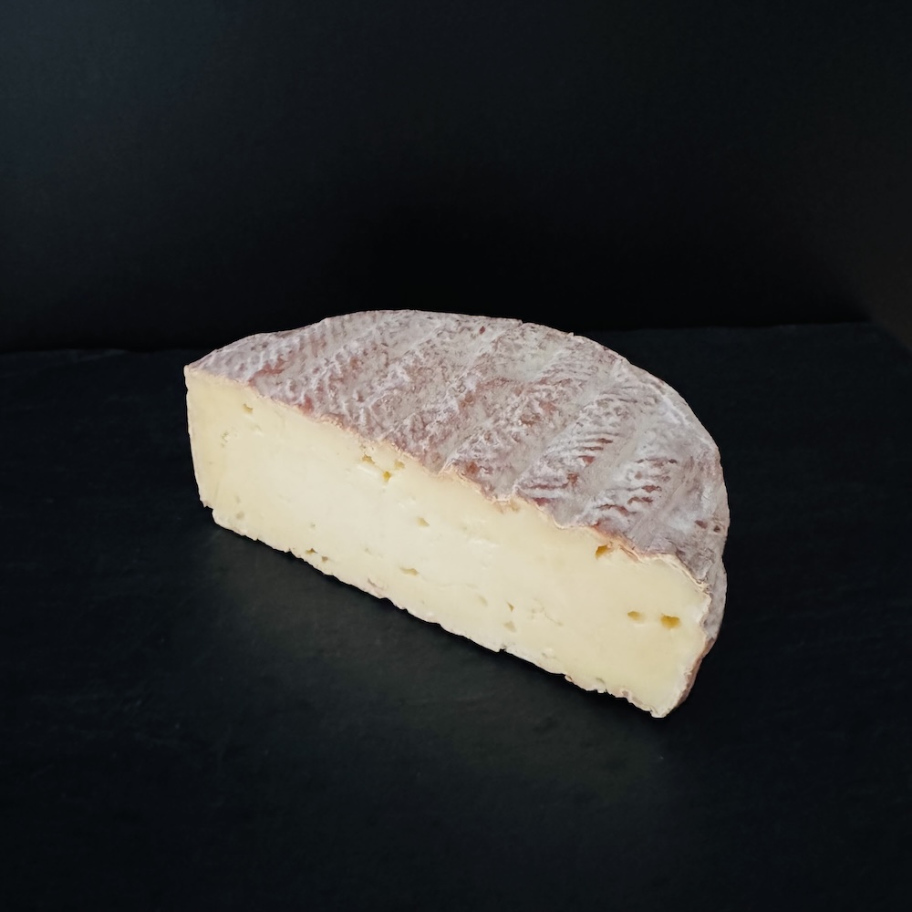 Photo de Elutcha des Buissières